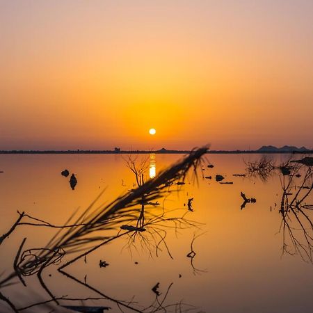 Taghaghien Island Resort Siwa Oasis Luaran gambar